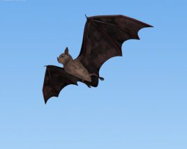 Bat Low Poly 3D model