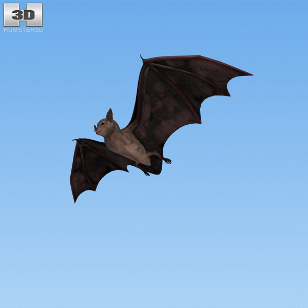 Bat Low Poly Modèle 3D