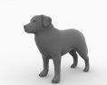 Bernese Mountain Dog Low Poly Modello 3D
