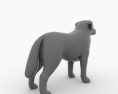 Bernese Mountain Dog Low Poly Modello 3D