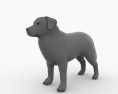 Bernese Mountain Dog Low Poly 3d model