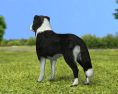 Border Collie Low Poly 3D-Modell
