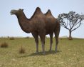 Camel Bactrian Low Poly Modelo 3D
