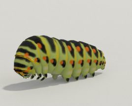 Caterpillar Low Poly 3D model