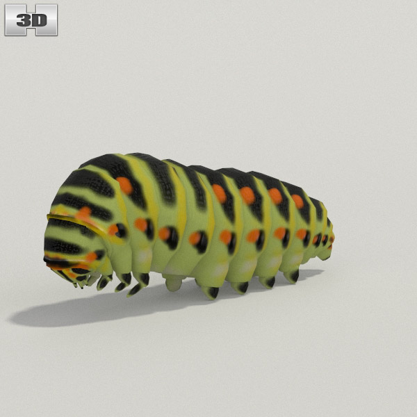 Caterpillar Low Poly 3D 모델 