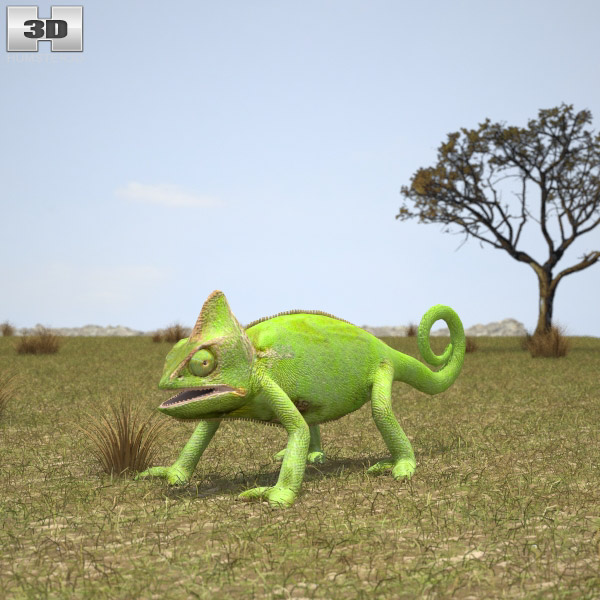 Chameleon Low Poly 3d model