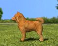 Chow Chow Low Poly Modelo 3d