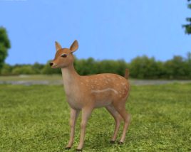 Fawn Low Poly 3D-Modell