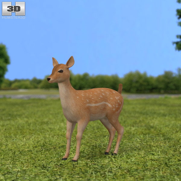 Fawn Low Poly Modello 3D