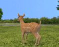 Fawn Low Poly 3d model