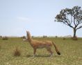 Fennec Low Poly 3D-Modell