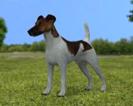 Fox Terrier smooth Low Poly 3D model