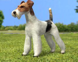 Fox Terrier Wire Low Poly 3D-Modell
