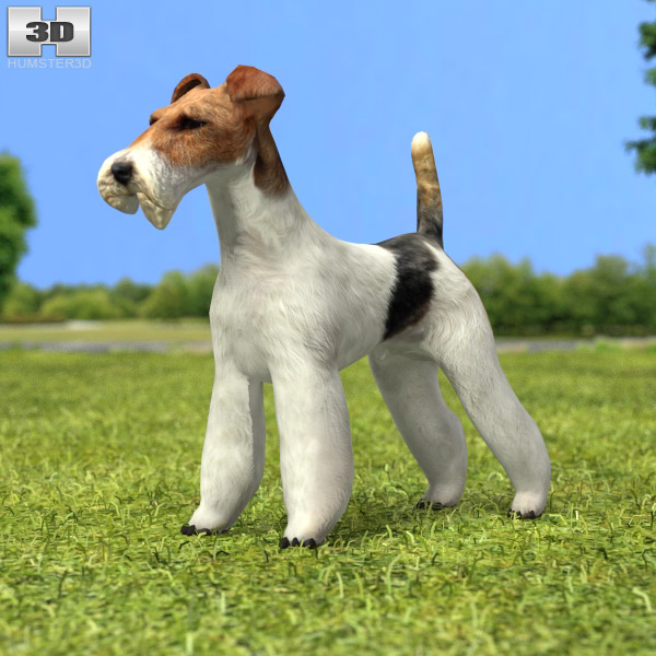 Fox Terrier Wire Low Poly Modèle 3D
