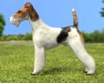Fox Terrier Wire Low Poly 3D 모델 