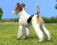 Fox Terrier Wire Low Poly Modello 3D