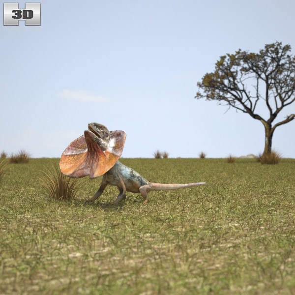 Frilled lizard Low Poly 3D-Modell