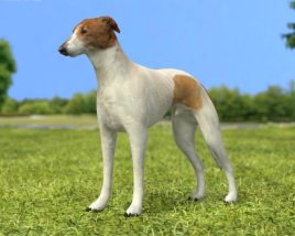 Greyhound Low Poly 3D model