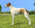 Greyhound Low Poly Modelo 3D