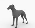 Greyhound Low Poly 3d model