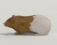 Guinea pig Low Poly 3Dモデル