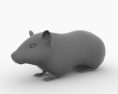 Guinea pig Low Poly 3D 모델 