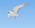 Gull Low Poly Modelo 3d