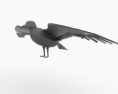 Gull Low Poly 3D 모델 