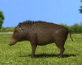 Hog Low Poly Modelo 3D