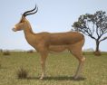 Impala Low Poly 3D-Modell