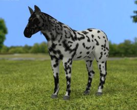 Horse Knabstrupper Low Poly 3Dモデル