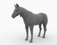 Horse Knabstrupper Low Poly Modello 3D
