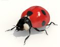 Ladybug Low Poly Modello 3D