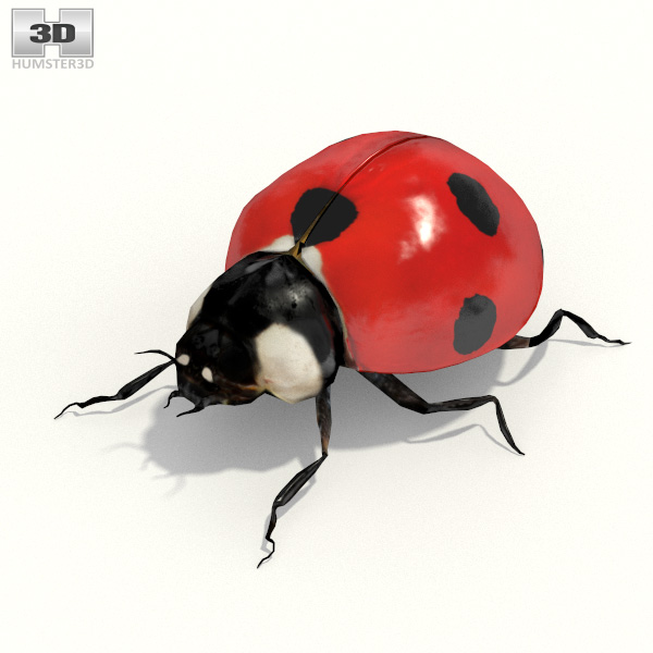 Ladybug Low Poly Modèle 3D