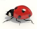 Ladybug Low Poly 3D-Modell