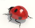 Ladybug Low Poly 3D 모델 