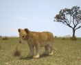 Lion cub Low Poly Modèle 3d