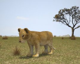 Lion cub Low Poly Modèle 3D
