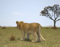 Lion cub Low Poly 3D модель