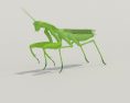 Mantis Low Poly Modello 3D