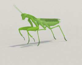 Mantis Low Poly 3D model