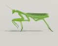 Mantis Low Poly 3D модель