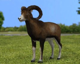 Mouflon Low Poly 3D-Modell