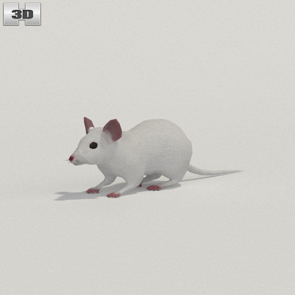 Mouse White Low Poly 3D model