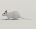Mouse White Low Poly 3d model
