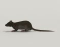Rat Grey Low Poly Modello 3D