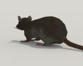 Rat Grey Low Poly Modelo 3d