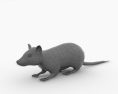 Rat Grey Low Poly 3d model