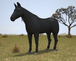 Horse Rocky Mountain Low Poly 3D model