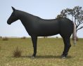 Horse Rocky Mountain Low Poly 3Dモデル